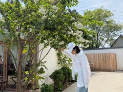 -柠檬花院烤肉·会议团建·聚会·求婚(三圣乡店)