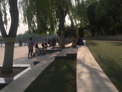 -大兴滨河森林公园