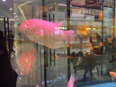 -钳小厨疯味1987肉蟹煲(美一城广场店)