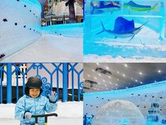 -广州热雪奇迹