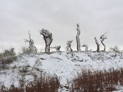 -亿利库布其七星湖沙漠生态旅游区