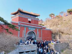 -泰山风景名胜区