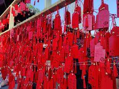 -祥源·阜阳生态乐园