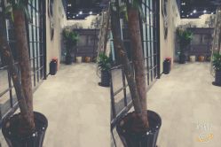 android_upload_pic-小左沙龙