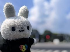 -鱼你在一起(通州华联购物中心店)