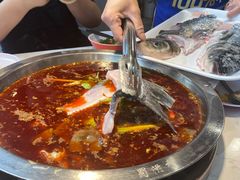-蜀滋香鲜鱼美蛙火锅(339店)