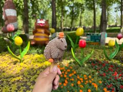 -北京野生动物园