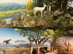 -陕西自然博物馆