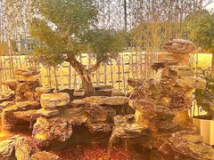 -观宴·品质赣菜(高新大道店)