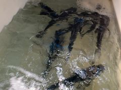 -久宴·天目湖大鱼头(恐龙园店)