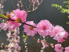 -建国门(地铁站)
