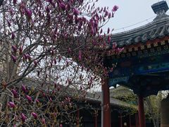 -大钟寺古钟博物馆