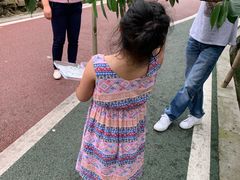 -樱桃山旅游景区