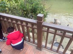 -厦门悦华酒店