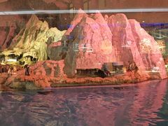 -帝企鹅自助餐厅•儿童岛•真企鹅(长隆企鹅酒店)