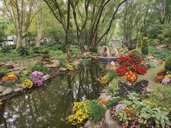 -上海共青森林公园