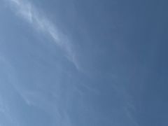 -佛手湖郊野公园