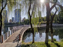 -后襄河公园