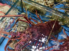 -粤盛海鲜平价店(洛溪食街店)