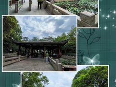-西湖公园(鼓楼区)