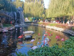 -北京野生动物园