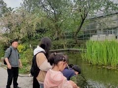 -南山植物园