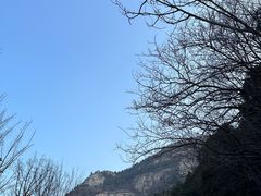 -佛慧山
