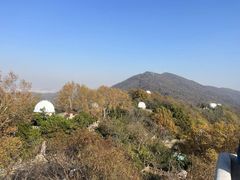 -紫金山天文台