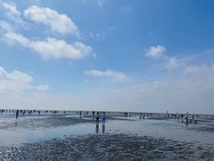 -奉贤海滩