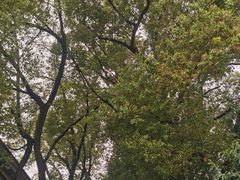 -南京晨光1865创意产业园