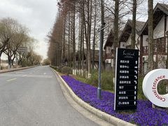-太阳岛旅游度假区
