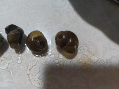 -呼吸森林·生态农庄农家乐私房菜