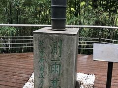 -北极阁公园