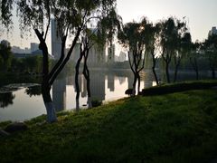 -后襄河公园