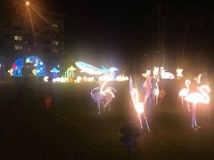 -渔家火锅·海鲜自助餐·演艺(亚龙湾天域酒店)