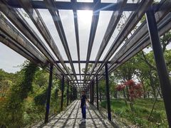 -南汇嘴观海公园