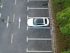 -春花秋色城市公园