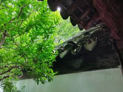 -秋霞圃