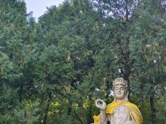 -北京十三陵国家森林公园蟒山景区