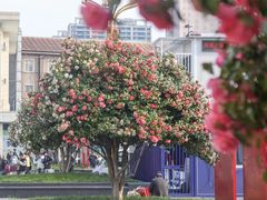 -长沙火车站(地铁站)