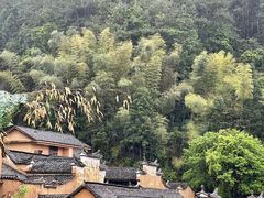 -杨家堂村
