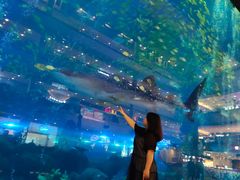 -成都浩海立方海洋公园