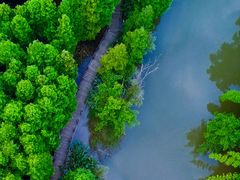 -桤木河湿地公园