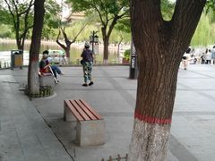 -文瀛公园