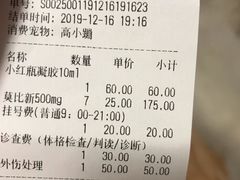 -艾贝尔宠物诊疗