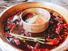 牛油微辣锅底-小龙坎火锅(春熙太古里店)