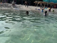 -哈尔滨波塞冬海底世界