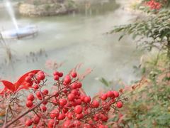 -武汉紫薇都市田园