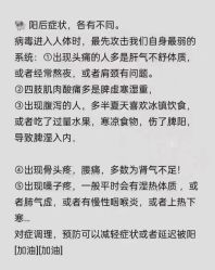 -YESIDO椰岛美容