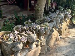 -西双版纳傣族园